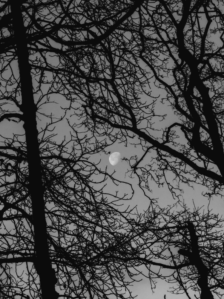 Photograph by Алиса Нежинская