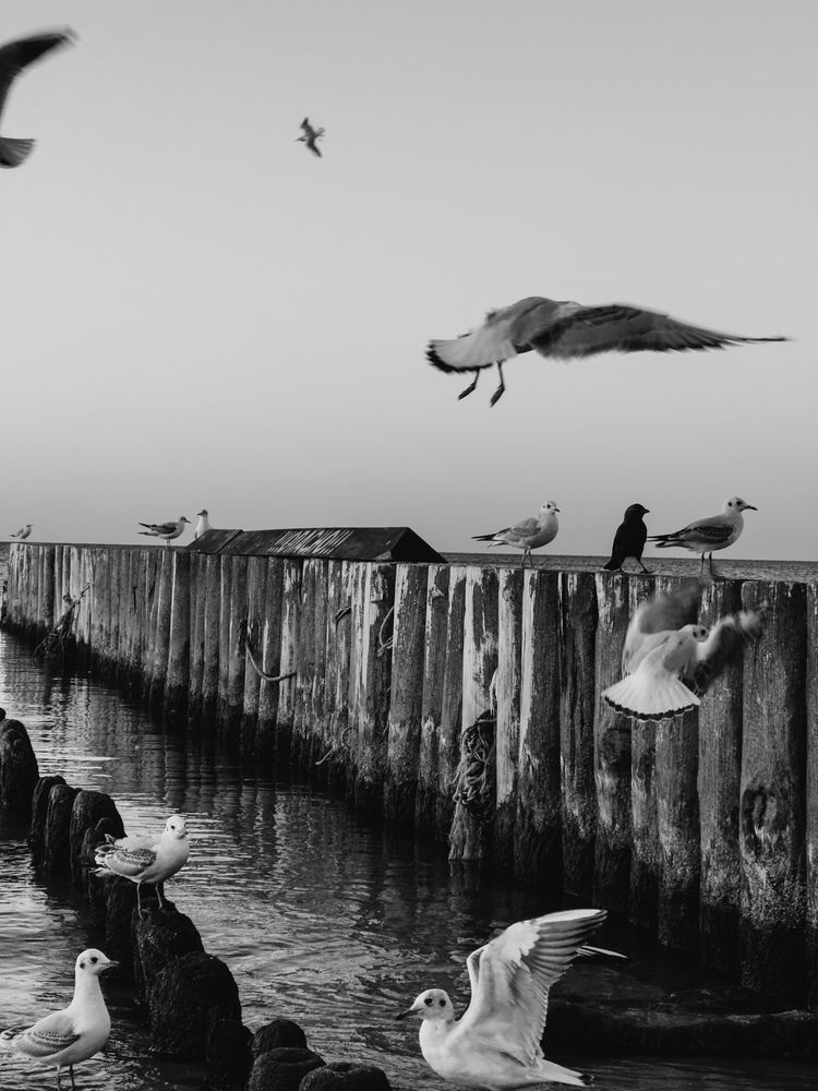 Photograph by Алиса Нежинская