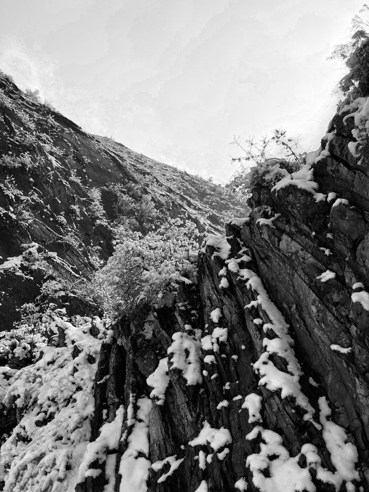 Photograph by Veronika Zatorkina