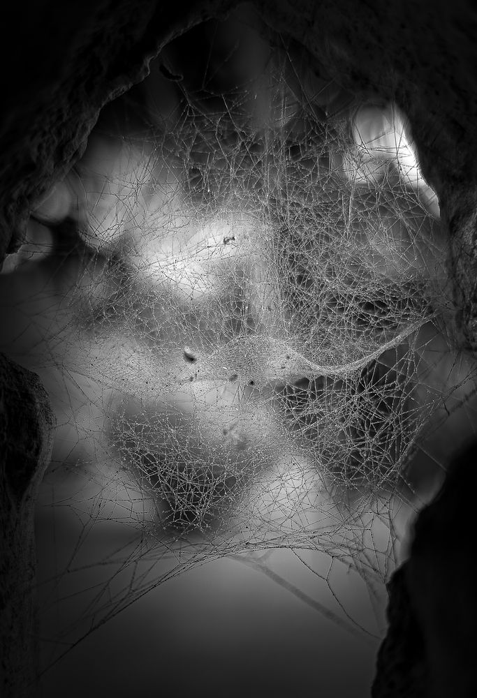 Photograph by SETHU RAJ R