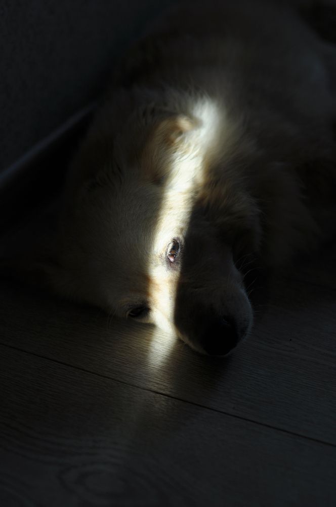 Photograph by Рыжова Александра