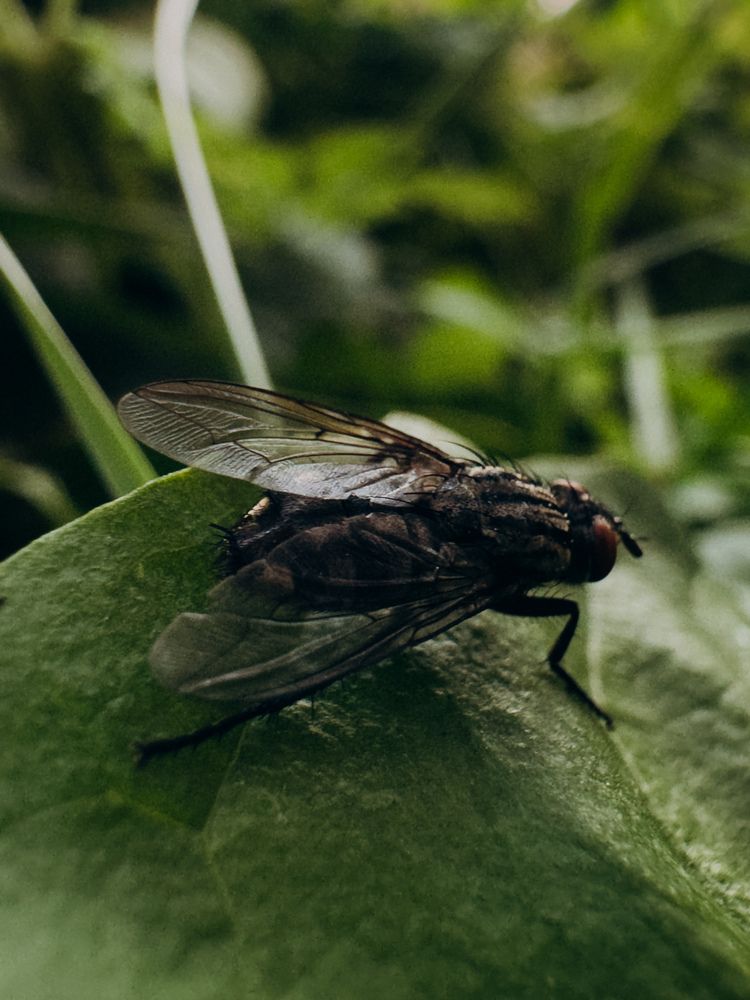 Photograph by Алиса Нежинская