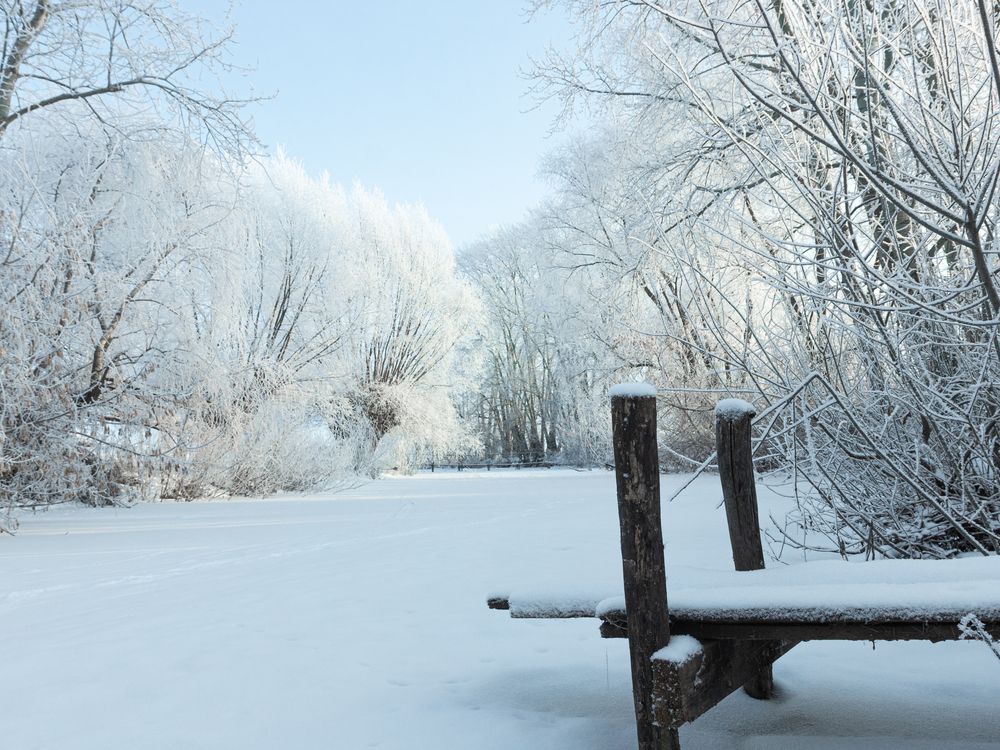 Фотография автора Динар Закиров