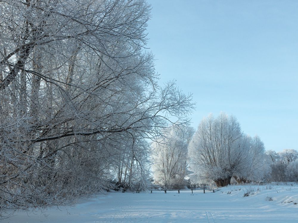 Фотография автора Динар Закиров