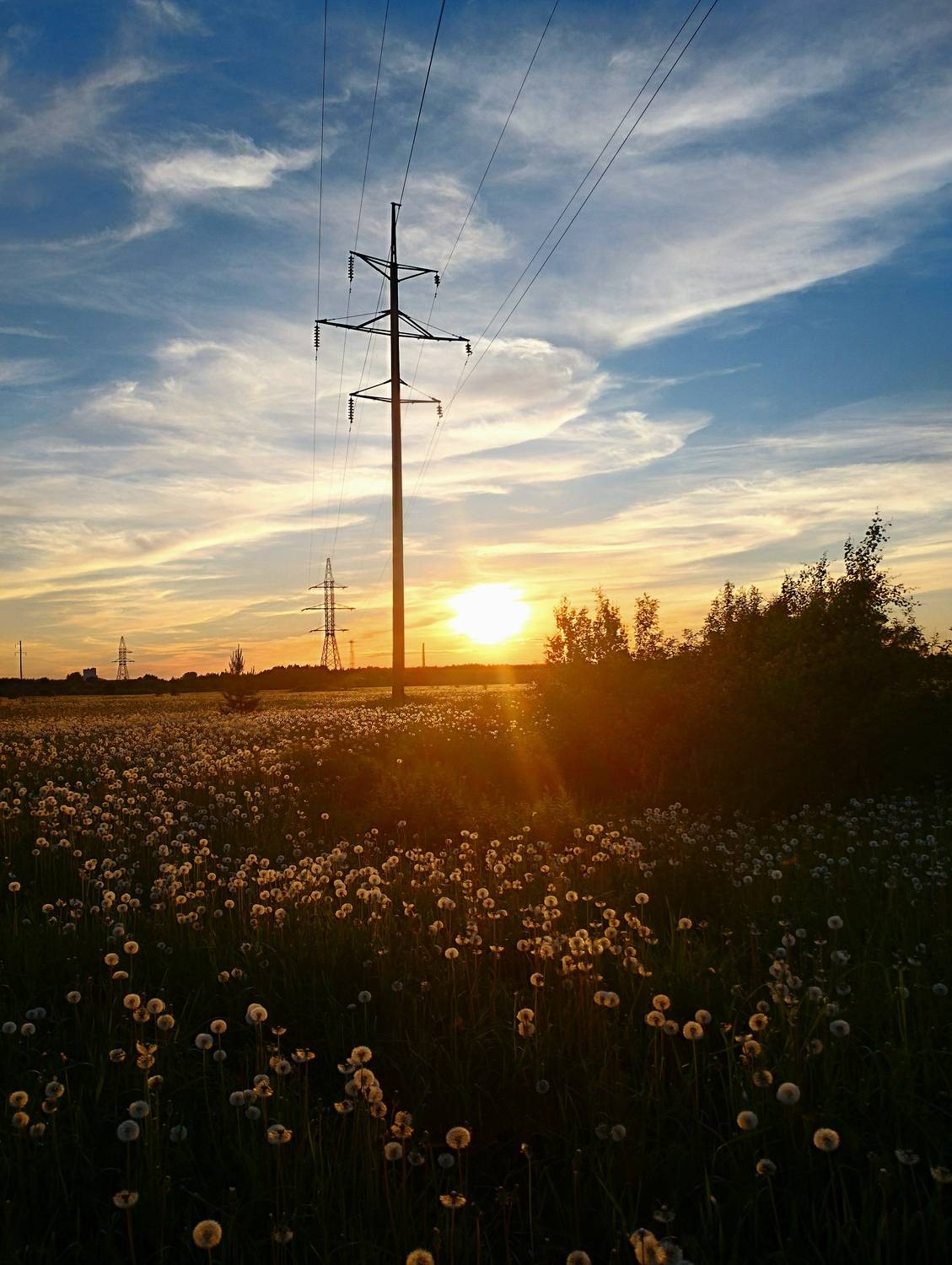 Photo #11899540