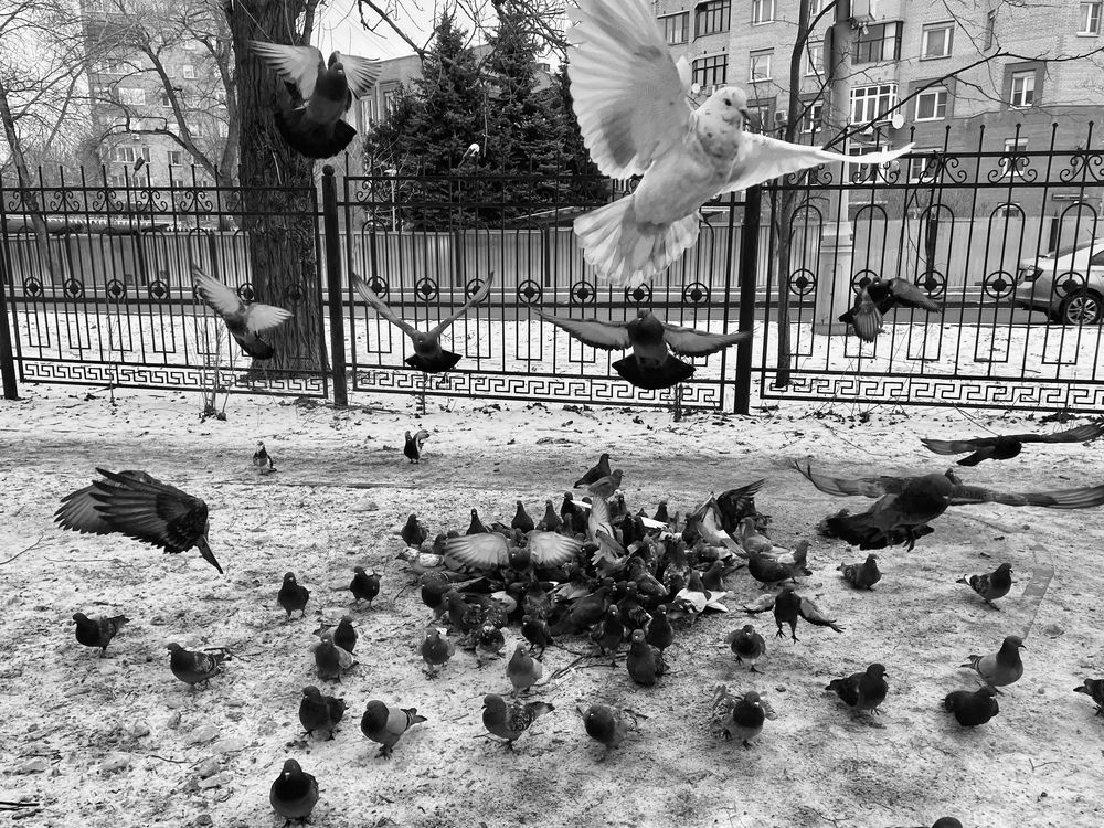 Photograph by Татьяна