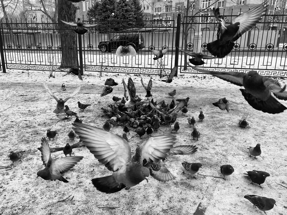 Photograph by Татьяна