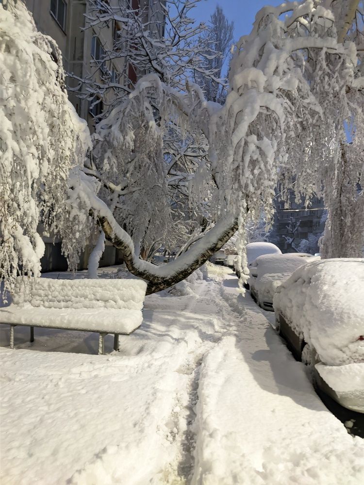 Photograph by Роман Тютин