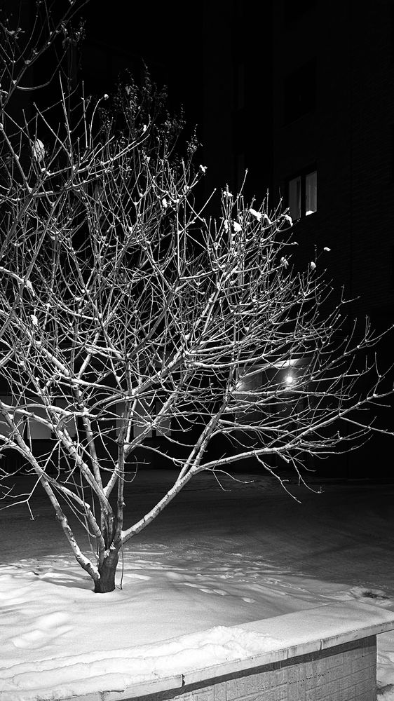 Фотография автора Бакуменко Анна