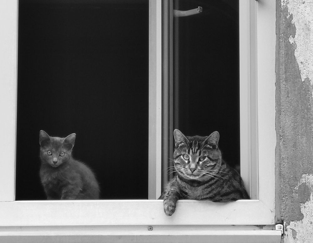 Фотография автора Шипунова Ирина