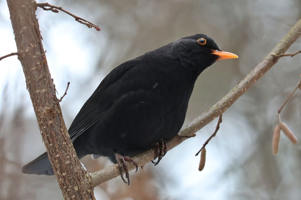 Photograph by Наталья Гайдукевич