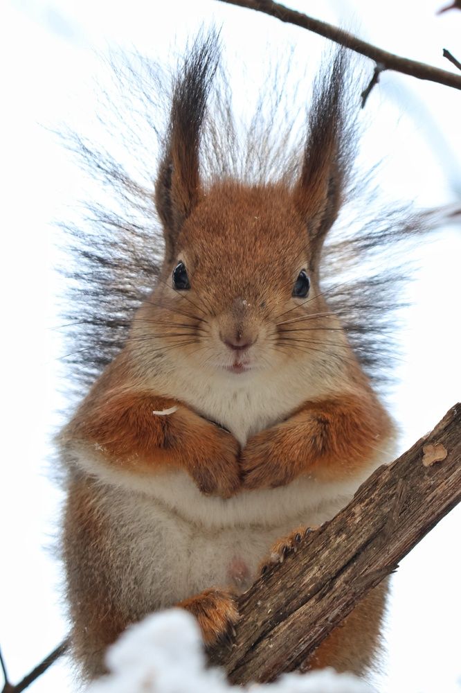 Photograph by Наталья Гайдукевич