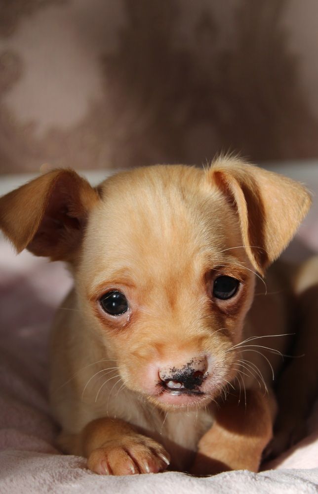 Photograph by Юлия Чурина