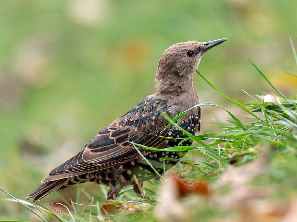 Photograph by Вера Машина