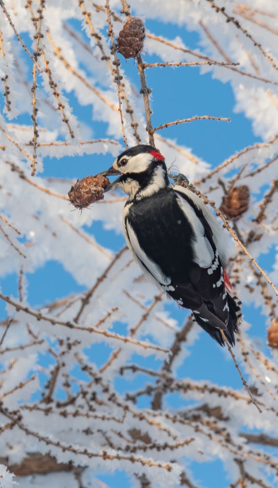Photograph by Альварис Сукманюк