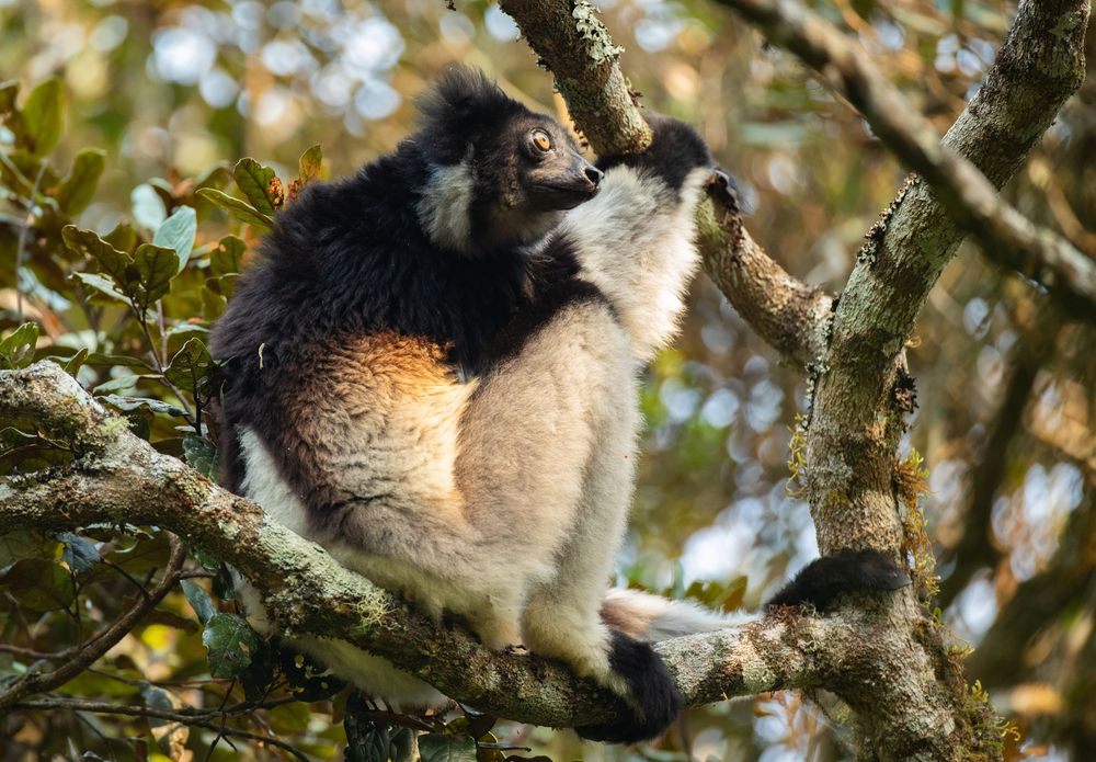 Photograph by Sangeetha Damodaran