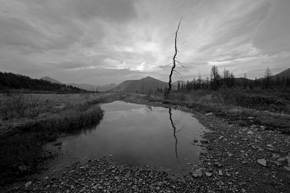 Photograph by Борис Леваков