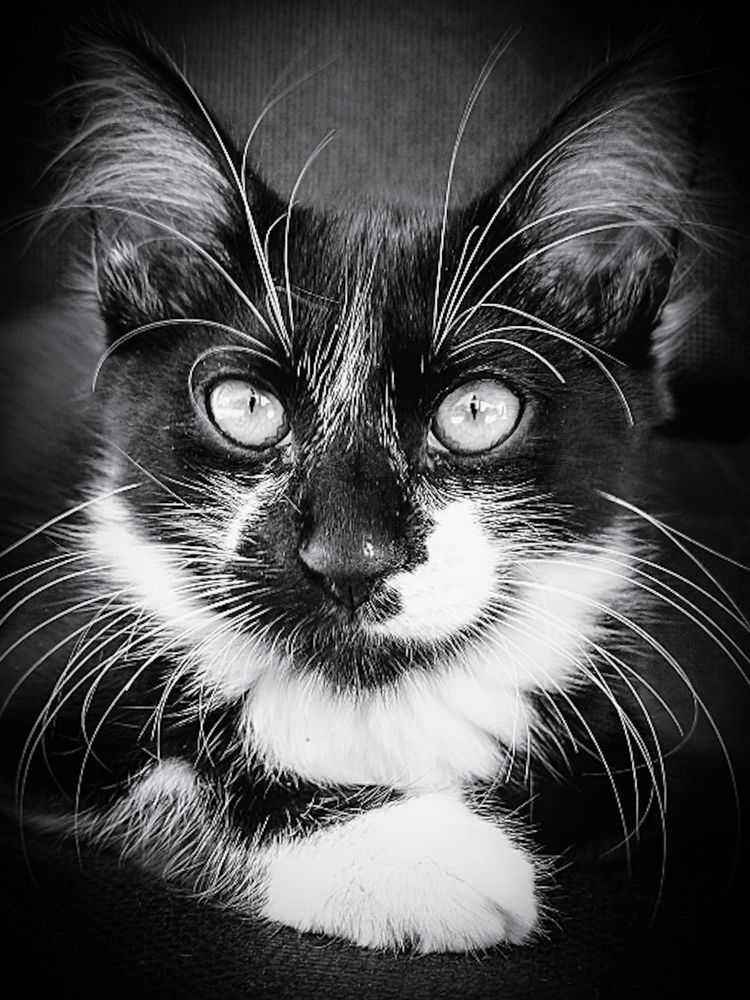 Photograph by FABIANO Manhães