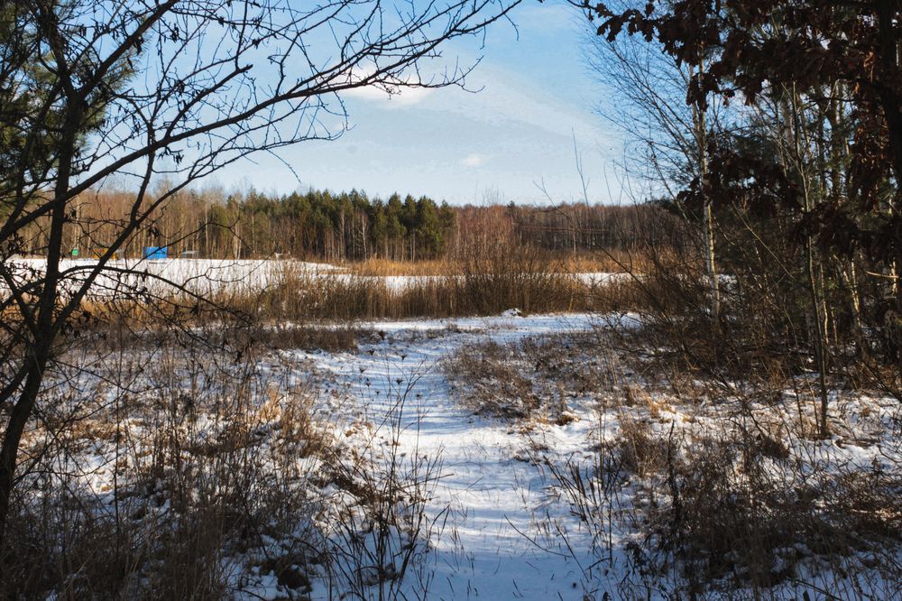 Фотография автора Anna Popova