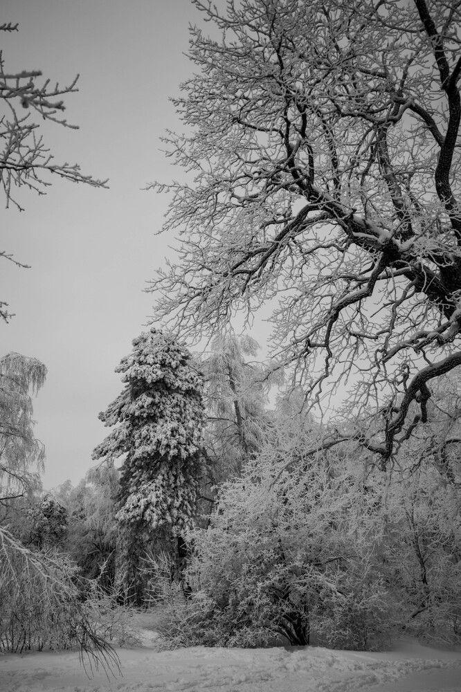 Photograph by Олеся Федорова