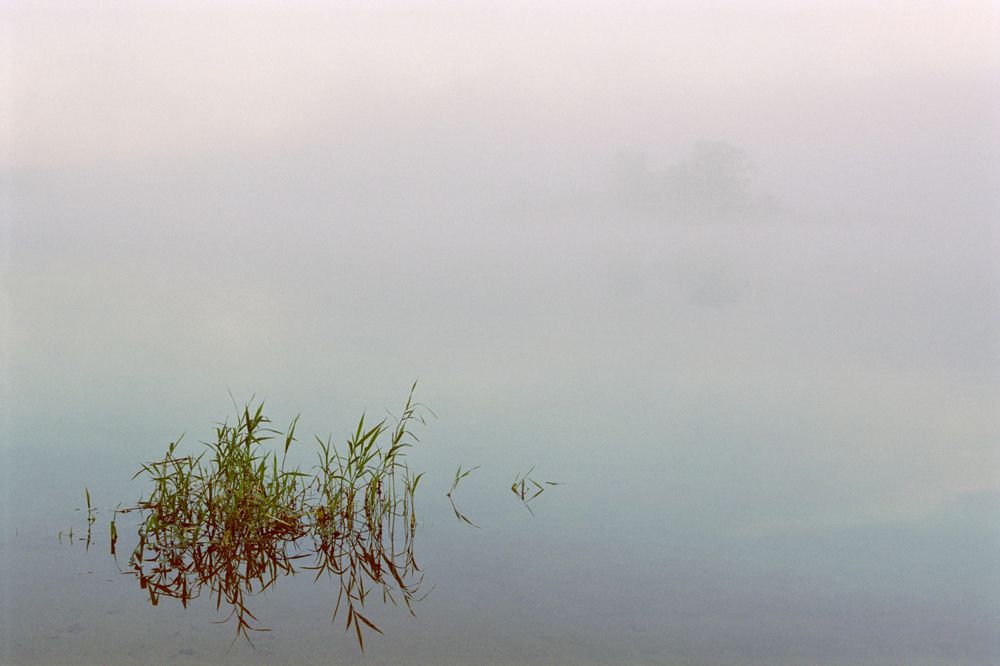 Photograph by Борис Леваков