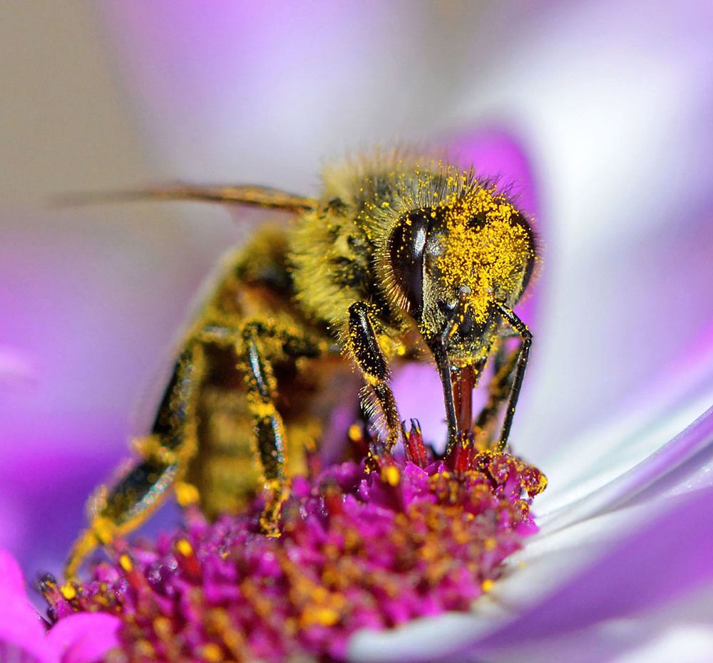 Photograph by Marjo Steffen