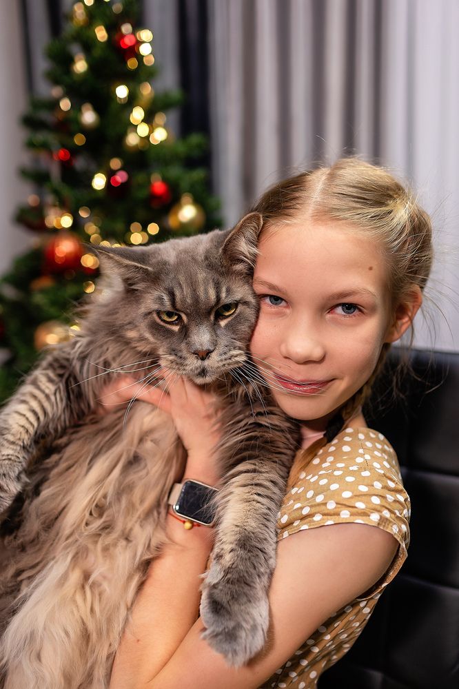 Я не могу, у меня лапки!