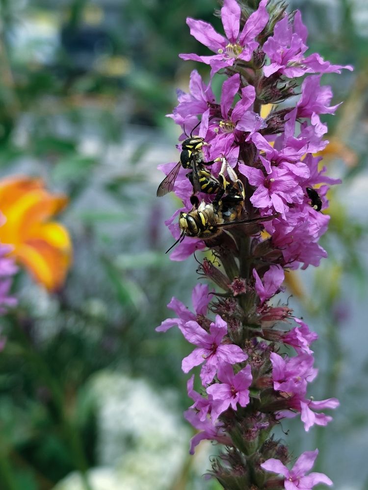 Photograph by Антон Денисов