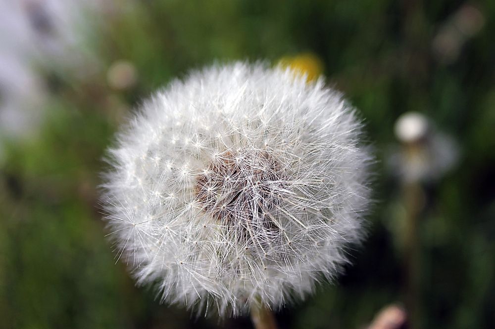 Фотография автора Лариса Ременьчик