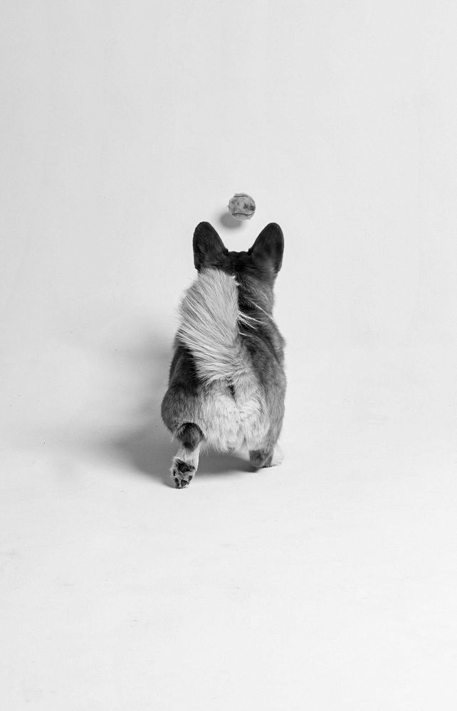 Photograph by Аля Фриссон