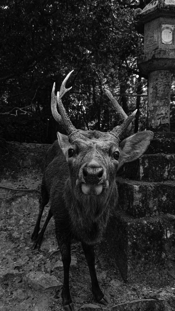 Фотография автора Анастасия Зайчуковская