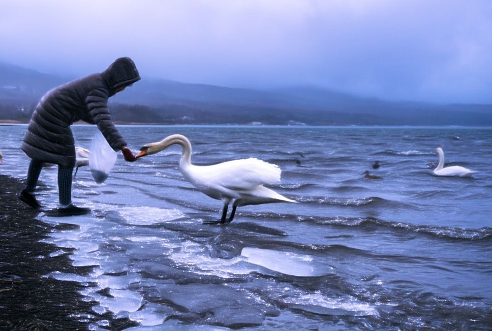 Love in winter