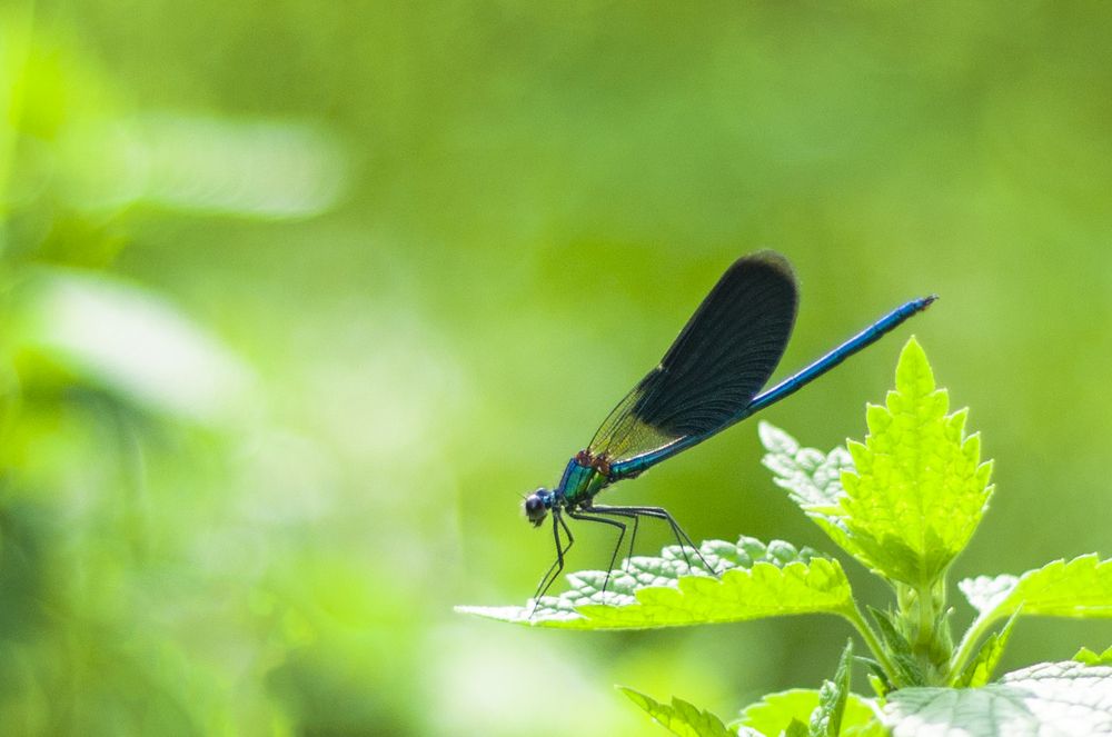 Photograph by Роман Тютин