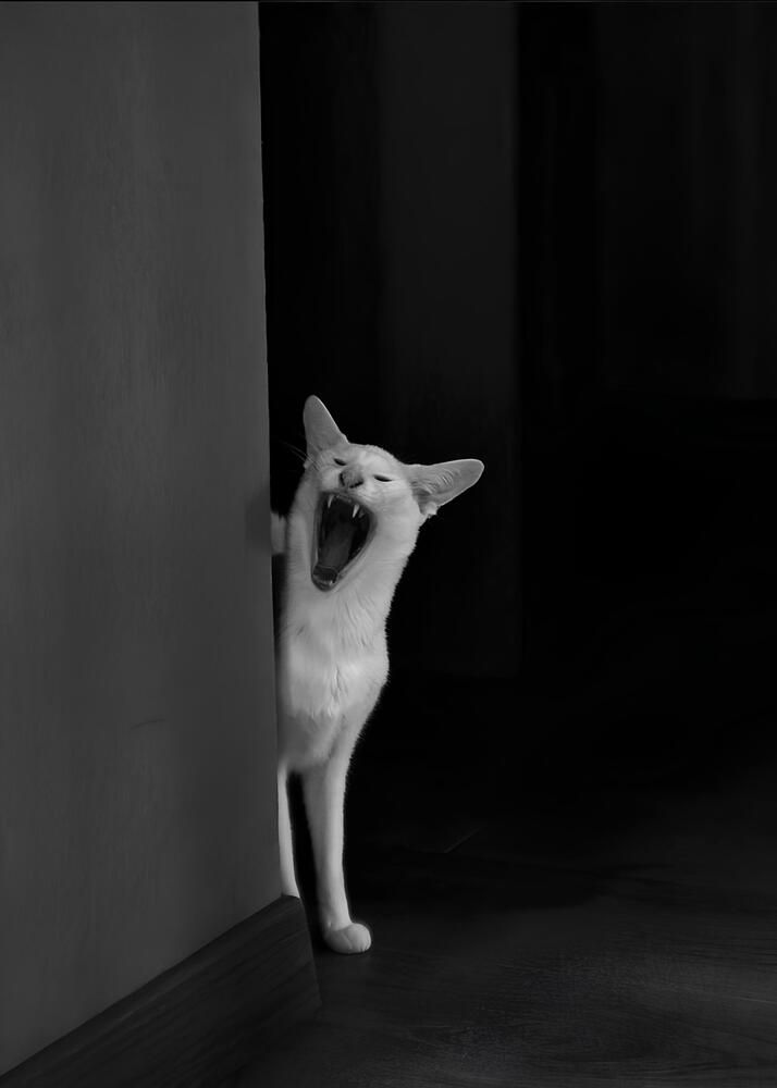 Photograph by Аля Фриссон