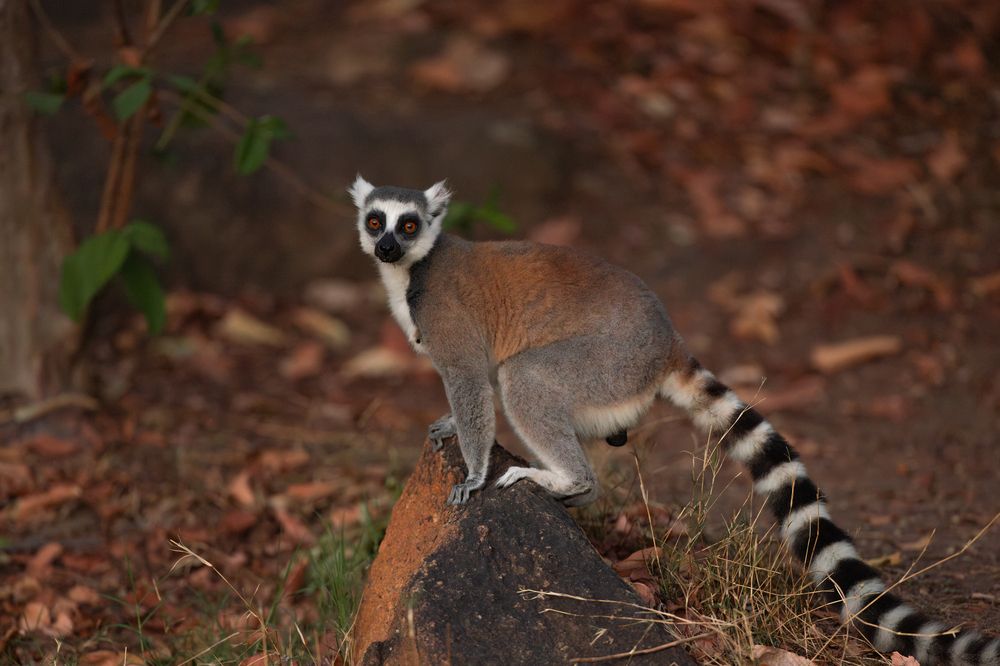 Photograph by Sangeetha Damodaran