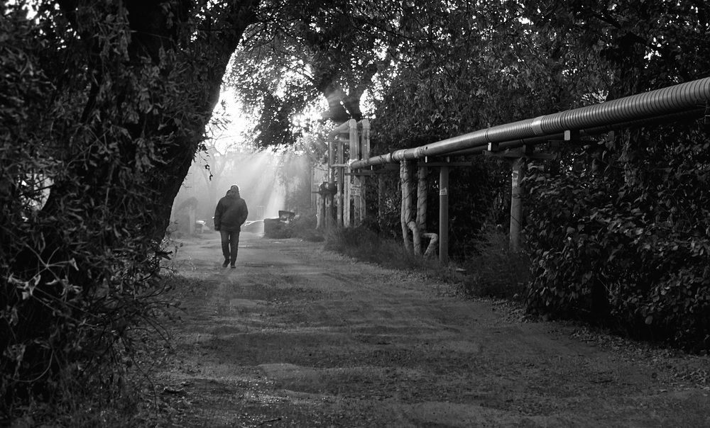 Photograph by Наталья Анисимова