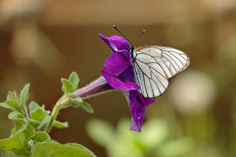 Photograph by виктор ковчин