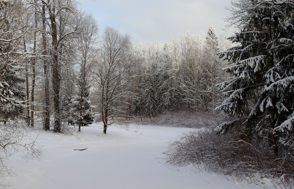 Photograph by Елена Николаева