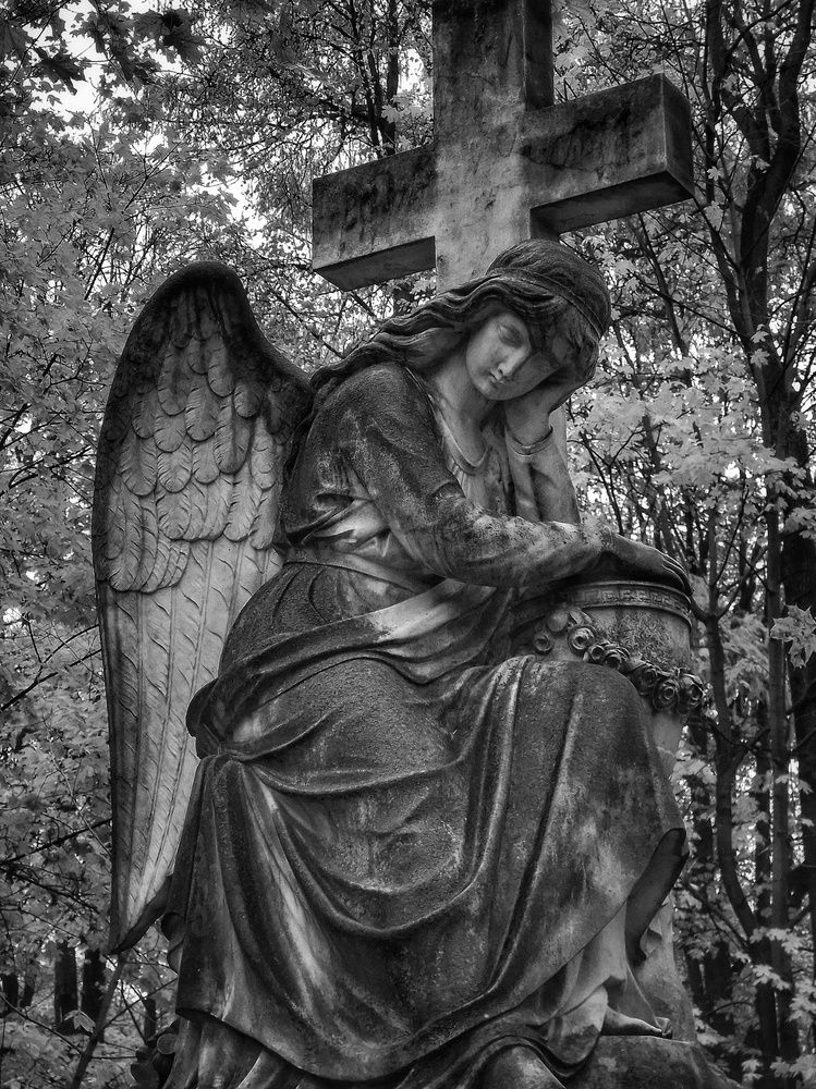 Photograph by Angelica Medvedeva