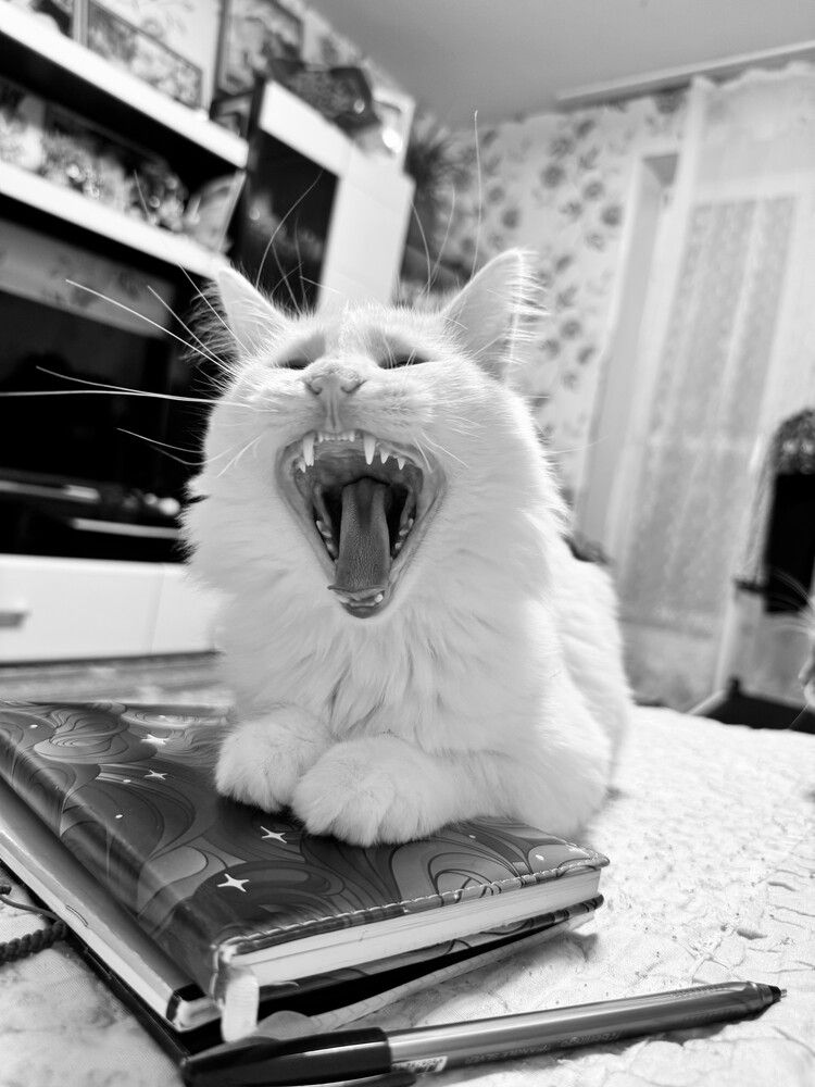 Photograph by Рослякова Елена