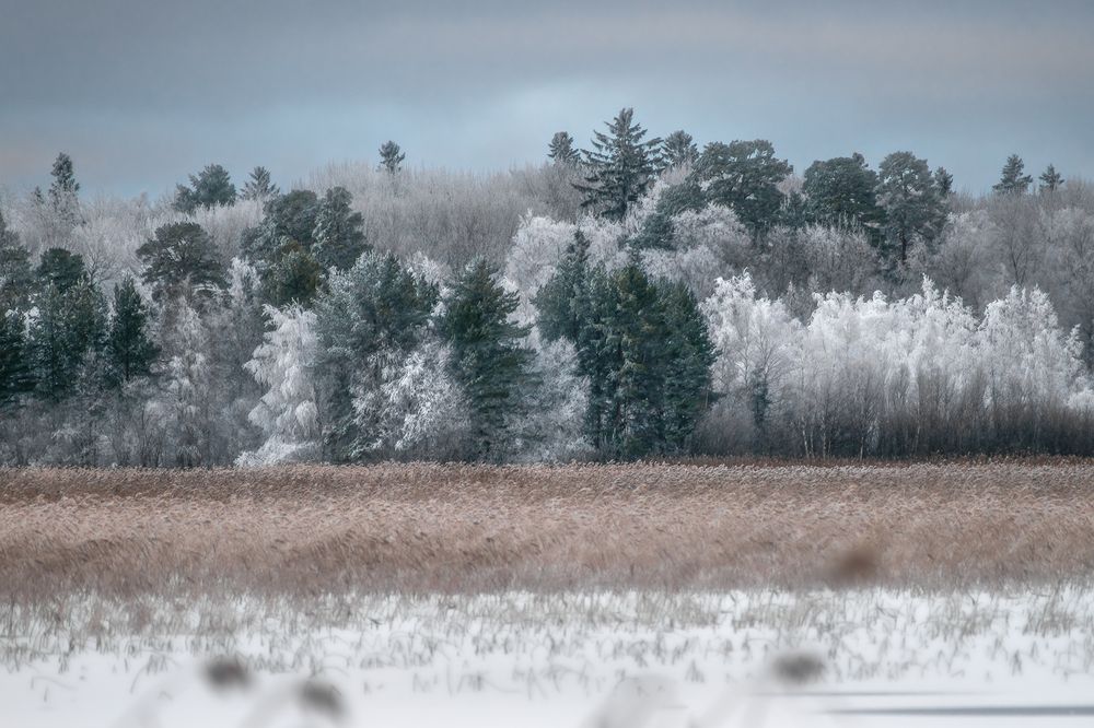 Photograph by Елена Амозова