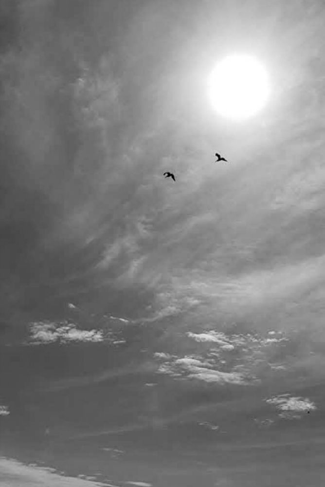 Фотография автора Al