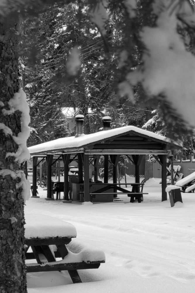 Фотография автора Al