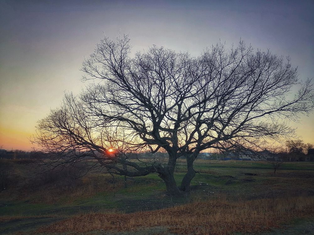 Photograph by Анжелика