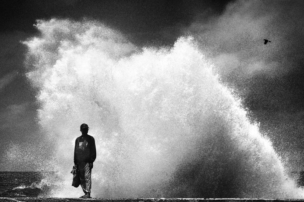 Facing the Tide of Life