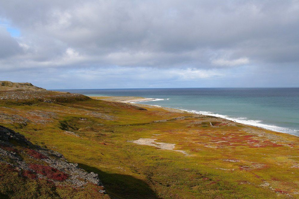 Заполярье. Ковер золотой осени.