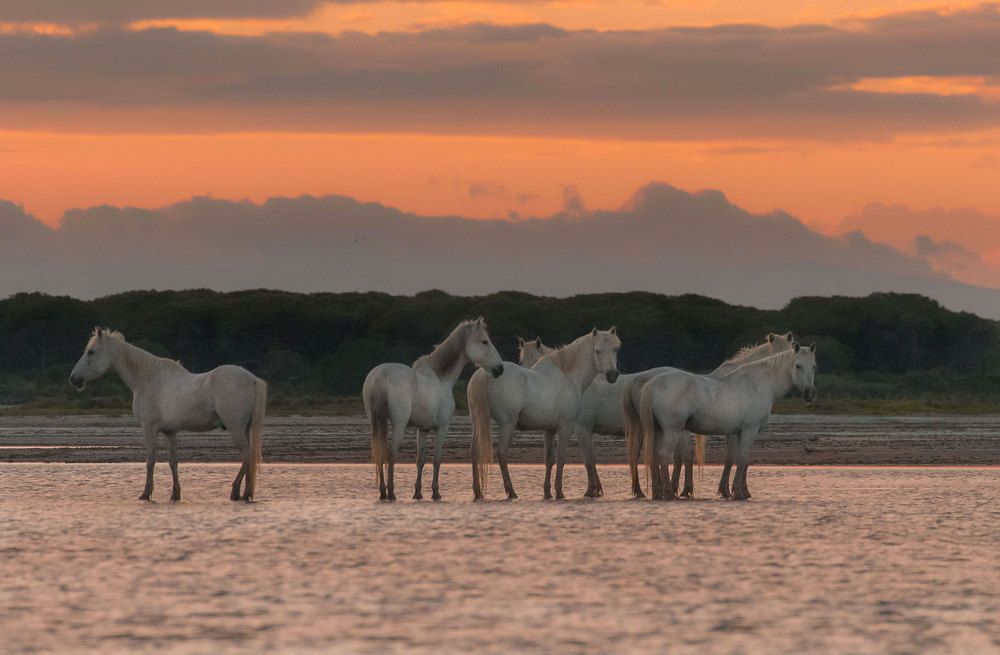 Photograph by Jevgenija Sepeliova