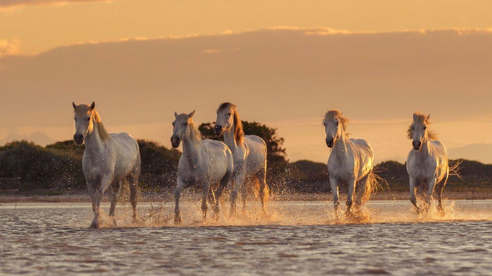 Photograph by Jevgenija Sepeliova