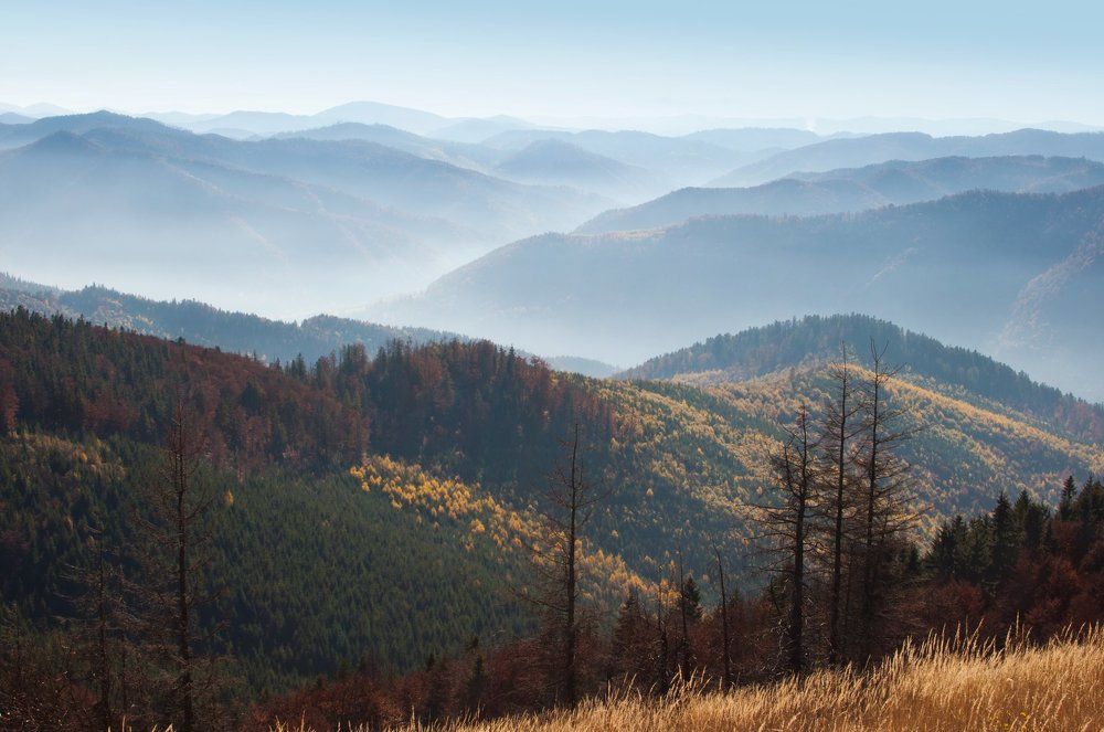 Покров осени