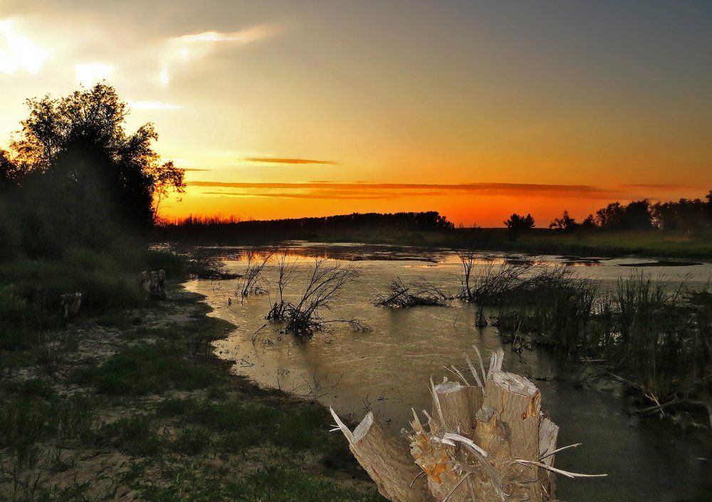 Photograph by Марина